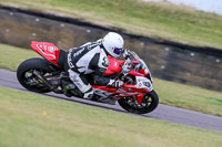 PJ-Motorsport-2019;anglesey-no-limits-trackday;anglesey-photographs;anglesey-trackday-photographs;enduro-digital-images;event-digital-images;eventdigitalimages;no-limits-trackdays;peter-wileman-photography;racing-digital-images;trac-mon;trackday-digital-images;trackday-photos;ty-croes